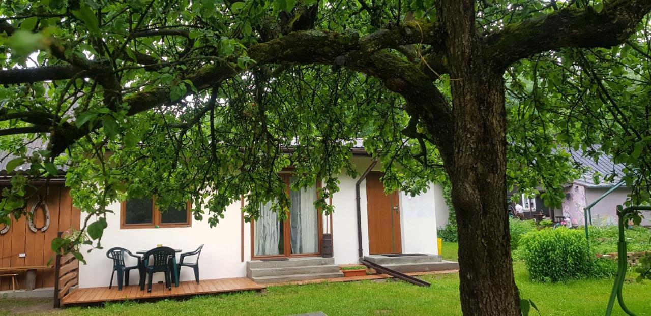 Letnisko Wiolinkowo Villa Sarnaki Exterior photo